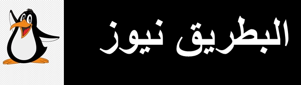 البطريق نيوز